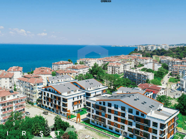 بيتورك أورمان