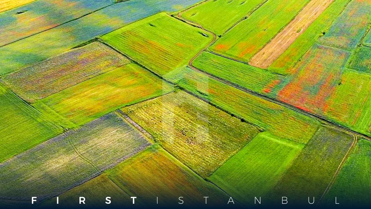 Everything about agricultural title deed in Turkey